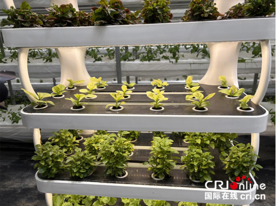 图片默认标题_fororder_定稿576