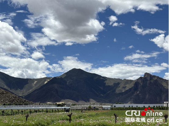 图片默认标题_fororder_定稿822